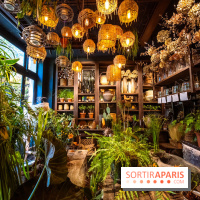 Mégie, la cantine botanique, boutique et atelier floral - photos