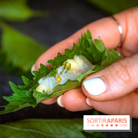 Mégie, la cantine botanique, boutique et atelier floral - photos