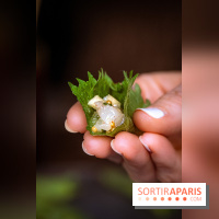 Mégie, la cantine botanique, boutique et atelier floral - photos
