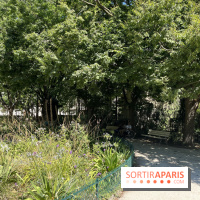 Square Léon Serpollet, le joli parc caché dans le 18e arrondissement