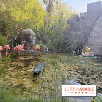 Flamants roses et crocodile au Parc Spirou
