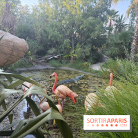 Zone tropicale du Parc Spirou Provence