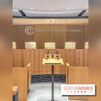 Visuels Conseil Constitutionnel