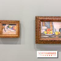 Exposition Cezanne et nous au Grand Palais