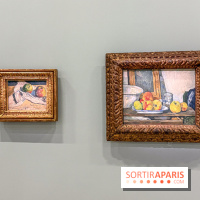 Exposition Cezanne et nous au Grand Palais