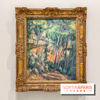 Exposition Cezanne et nous au Grand Palais