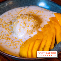 Saigona, le restaurant vietnamien du Quartier Latin Paris 5e - les photos