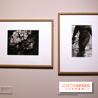 Photographies japonaises de la BnF - nos photos de l'exposition