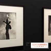 Irving Penn