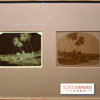 Voir Tahiti : une exposition qui dévoile les premières photos du XIXe siècle au musée du Quai Branly