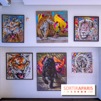 L'Expo des 150 2026 et Street Art Denfert, les photos