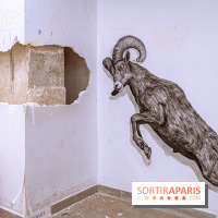 L'Expo des 150 2026 et Street Art Denfert, les photos