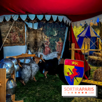 Les Médiévales de Mantes