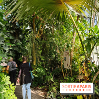 Automne tropical 2026