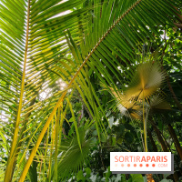 Automne tropical 2026