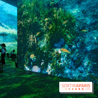 Plongez à la découverte de Planète Océan, l’exposition immersive de l’Atelier des Lumières