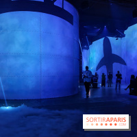 Plongez à la découverte de Planète Océan, l’exposition immersive de l’Atelier des Lumières