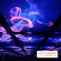 Plongez à la découverte de Planète Océan, l’exposition immersive de l’Atelier des Lumières