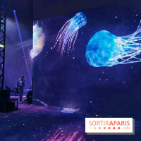 Plongez à la découverte de Planète Océan, l’exposition immersive de l’Atelier des Lumières