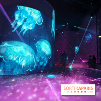 Plongez à la découverte de Planète Océan, l’exposition immersive de l’Atelier des Lumières