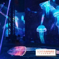 Plongez à la découverte de Planète Océan, l’exposition immersive de l’Atelier des Lumières