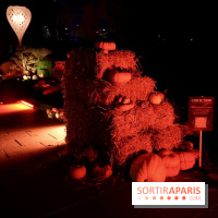 Parc de l'Étrange 2026 : Pyramide de foin et citrouilles dans un décor d’Halloween nocturne