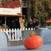 la fête du goût à la ferme de Gally