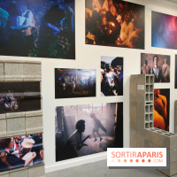 Semons nos résistances : l'exposition engagée à découvrir gratuitement au Maif Social Club