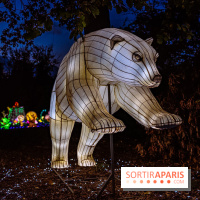 Thoiry Lumières Sauvages 2026 : Sur les traces de Pachamama - photos