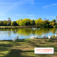 Les îles du Lac Daumesnil, une escapade dans le 12e arrondissement de Paris