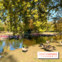 Les îles du Lac Daumesnil, une escapade dans le 12e arrondissement de Paris