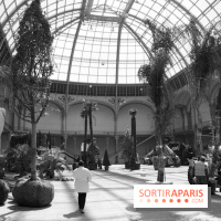 L'art du Jardin au Grand Palais