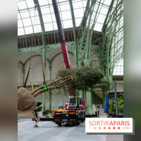 L'art du Jardin au Grand Palais