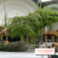 L'art du Jardin au Grand Palais