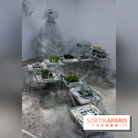 L'Art du Jardin au Grand Palais