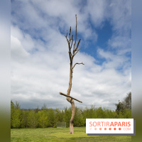 Penone au Château de Versailles, Idee di pietra - Ciliegio | Idées de pierre - Cerisier, 2011