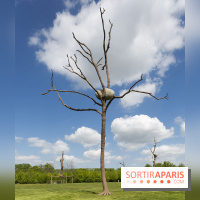 Penone au Château de Versailles, In bilico | En équilibre