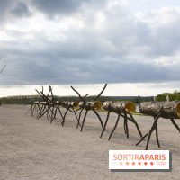 Penone au Château de Versailles, Spazio di luce | Espace de lumière