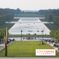 Penone au Château de Versailles, Vue d'ensemble exposition Penone Versailles