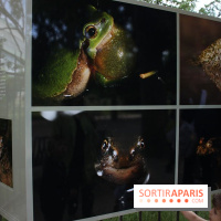 Exposition Planète Grenouille par Cyril Ruoso au Jardin des Plantes