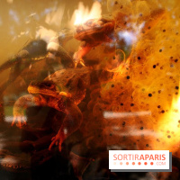 Exposition Planète Grenouille par Cyril Ruoso au Jardin des Plantes