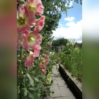 jardins passagers, parc de la villette