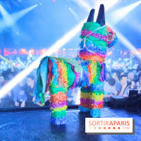 Festival Astropolis 2013