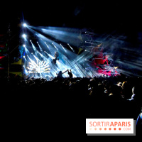 The Peacock Society 2013