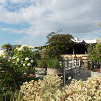 Le Perchoir à Paris