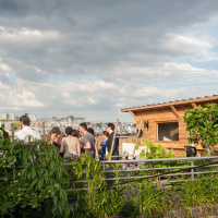 Le Perchoir à Paris