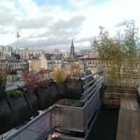 Le Perchoir à Paris