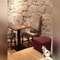 Le Café des Chats à Paris