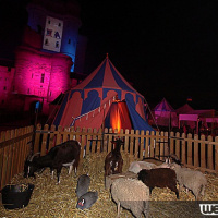 La Nuit des Ambassadeurs 2013 : Le Tournoi des XVI Royaumes