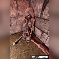 La Nuit des Ambassadeurs 2013 : Le Tournoi des XVI Royaumes